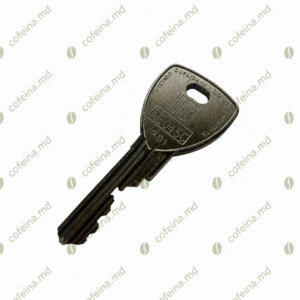 Cheie Rielda Model Nou RS1 AE045C