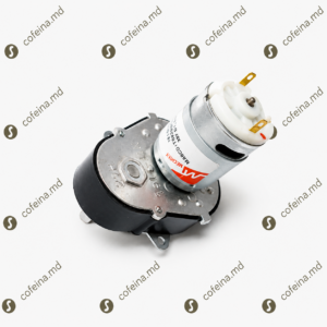 Motoreductor Brat Furtune Saeco 25RPM
