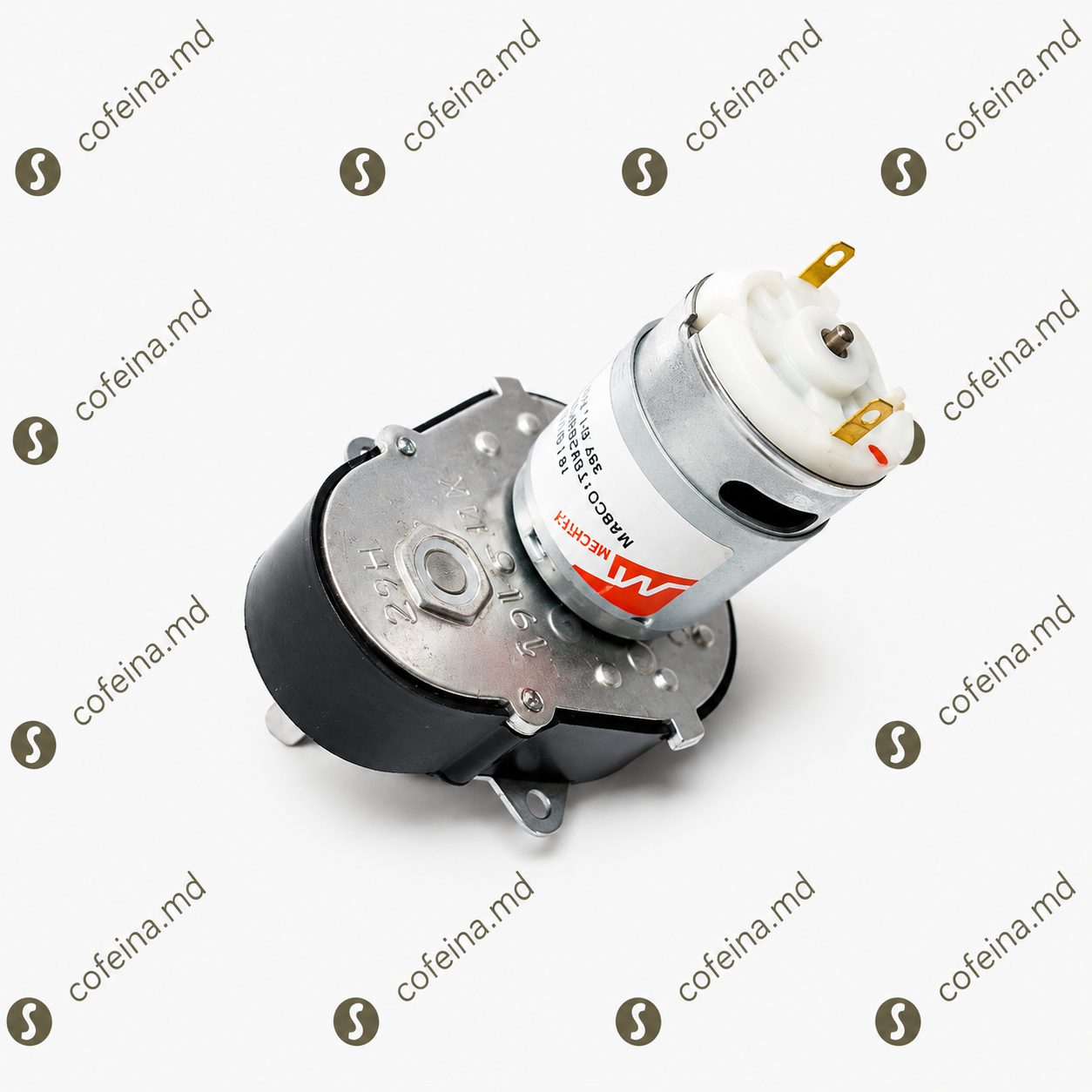 Motoreductor Brat Furtune Saeco 25RPM