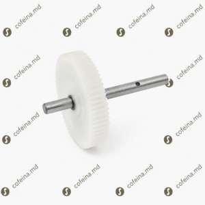 Pinion Rasnita Bianchi