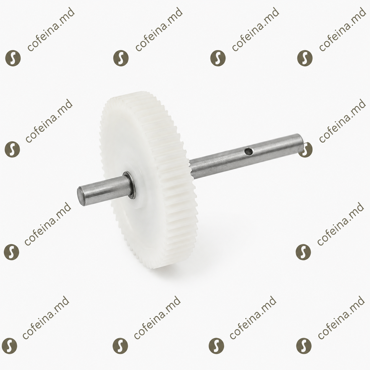 Pinion Rasnita Bianchi